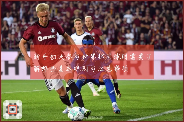 新手初次参与世界杯买球时需要了解哪些基本规则与注意事项