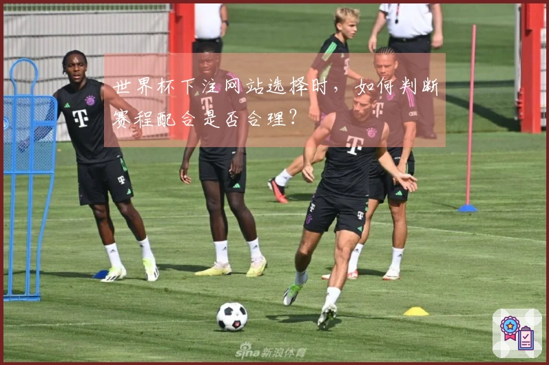 世界杯下注网站选择时，如何判断赛程配合是否合理？