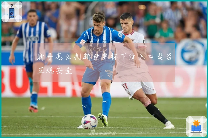 新手怎么判断世界杯下注入口是否正规安全