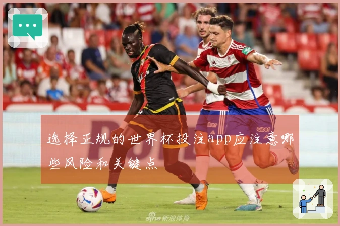 选择正规的世界杯投注app应注意哪些风险和关键点