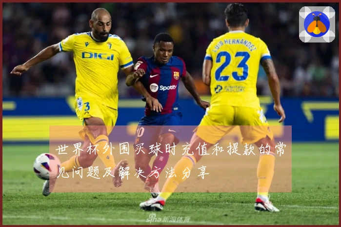 世界杯外围买球时充值和提款的常见问题及解决方法分享