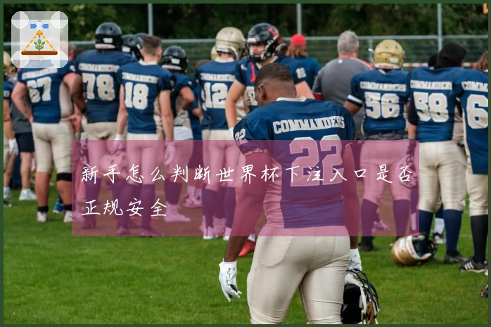 新手怎么判断世界杯下注入口是否正规安全
