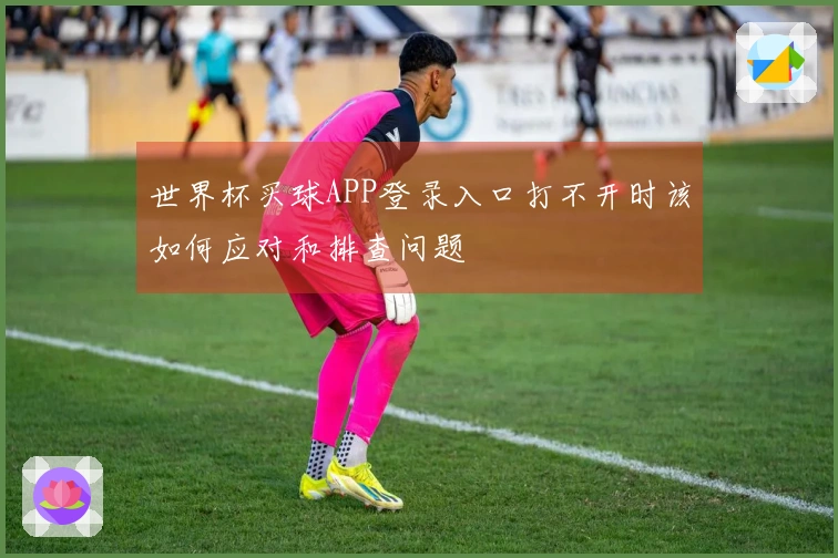 世界杯买球APP登录入口打不开时该如何应对和排查问题