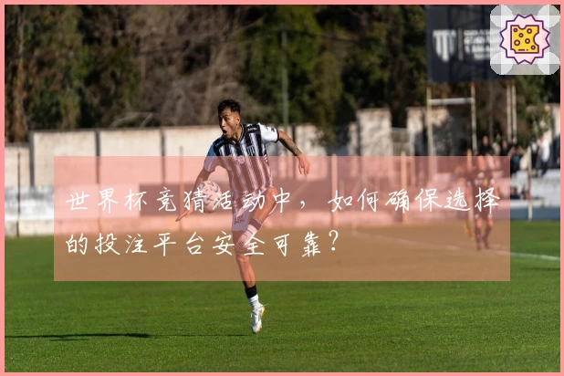 世界杯竞猜活动中，如何确保选择的投注平台安全可靠？