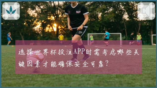 选择世界杯投注APP时需考虑哪些关键因素才能确保安全可靠？