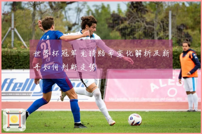 世界杯冠军竞猜赔率变化解析及新手如何判断走势