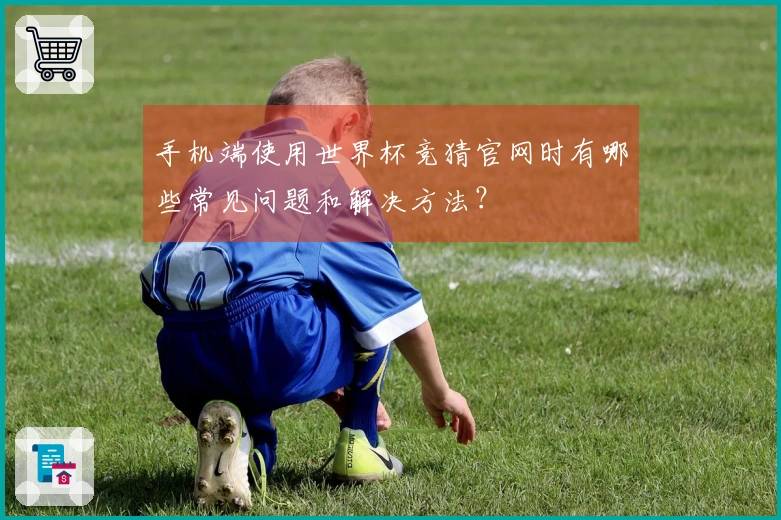 手机端使用世界杯竞猜官网时有哪些常见问题和解决方法？