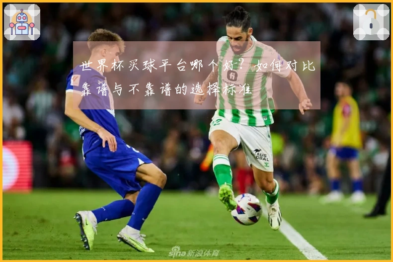 世界杯买球平台哪个好？如何对比靠谱与不靠谱的选择标准