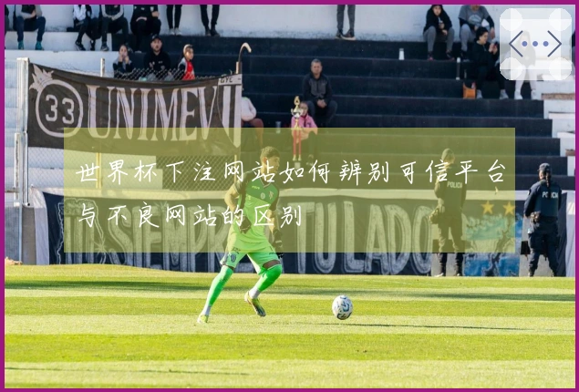 世界杯下注网站如何辨别可信平台与不良网站的区别