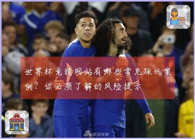 世界杯竞猜网站有哪些常见踩坑案例？你必须了解的风险提示