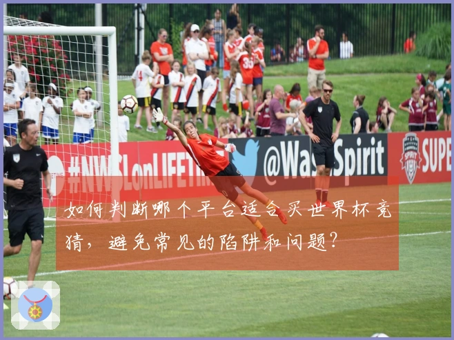 如何判断哪个平台适合买世界杯竞猜，避免常见的陷阱和问题？