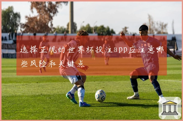 选择正规的世界杯投注app应注意哪些风险和关键点