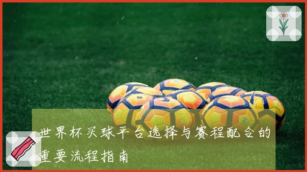 世界杯买球平台选择与赛程配合的重要流程指南