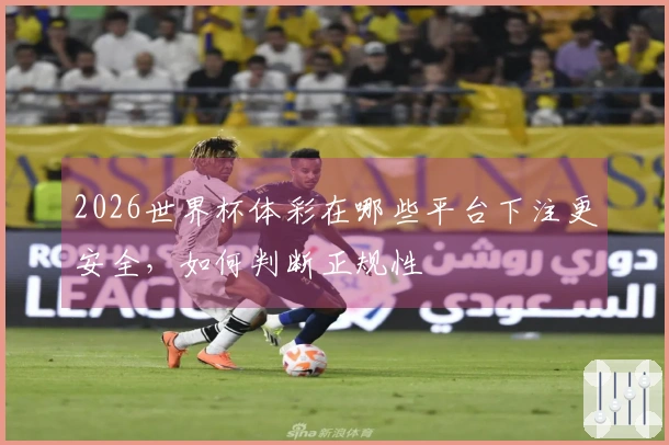 2026世界杯体彩在哪些平台下注更安全，如何判断正规性