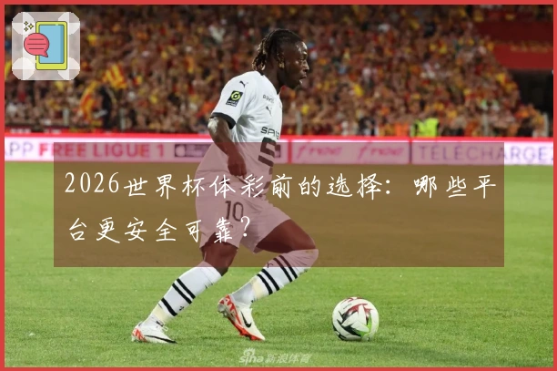 2026世界杯体彩前的选择：哪些平台更安全可靠？