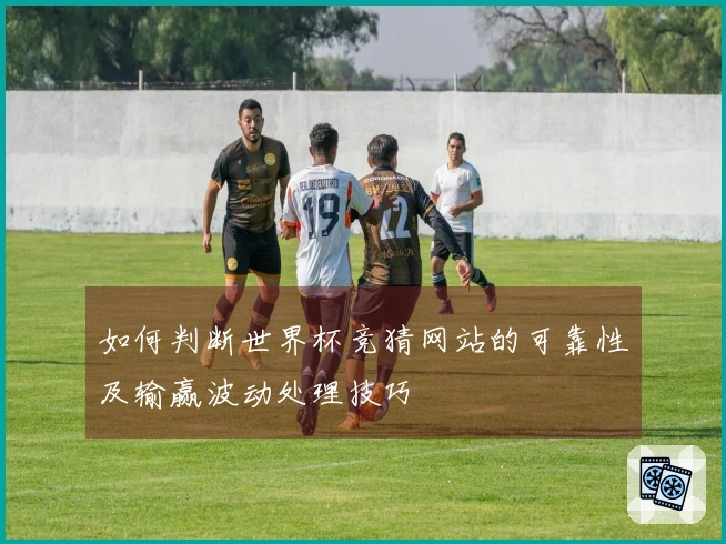 如何判断世界杯竞猜网站的可靠性及输赢波动处理技巧