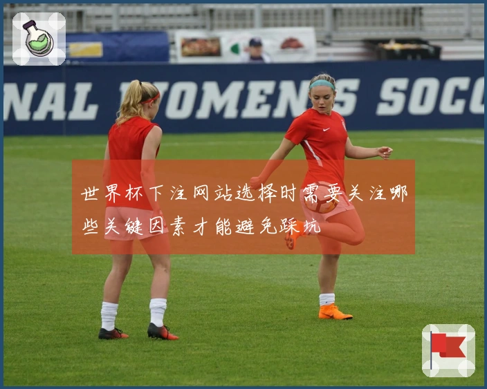 世界杯下注网站选择时需要关注哪些关键因素才能避免踩坑