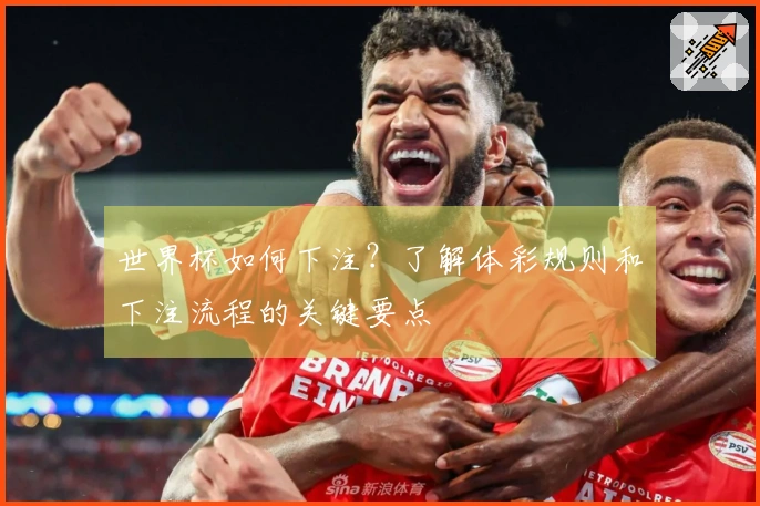 世界杯如何下注？了解体彩规则和下注流程的关键要点