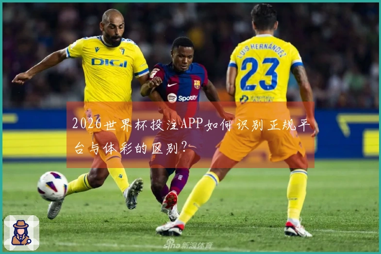 2026世界杯投注APP如何识别正规平台与体彩的区别？