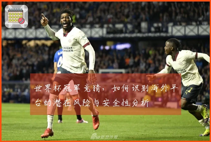 世界杯冠军竞猜，如何识别海外平台的潜在风险与安全性分析