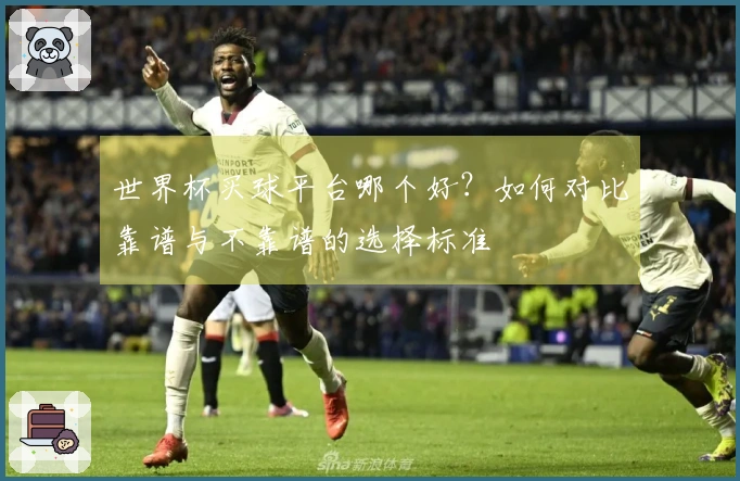 世界杯买球平台哪个好？如何对比靠谱与不靠谱的选择标准