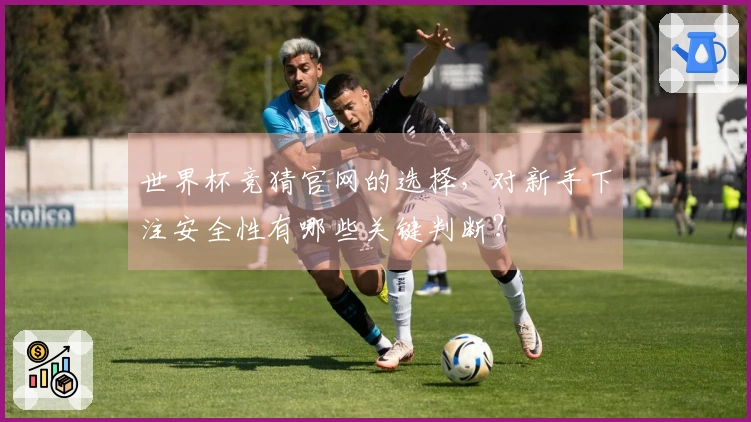 世界杯竞猜官网的选择，对新手下注安全性有哪些关键判断？