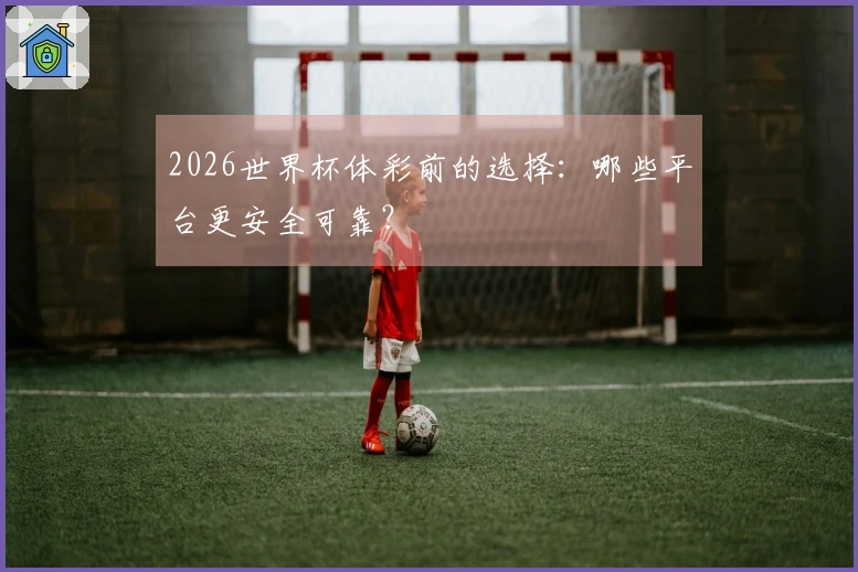 2026世界杯体彩前的选择：哪些平台更安全可靠？