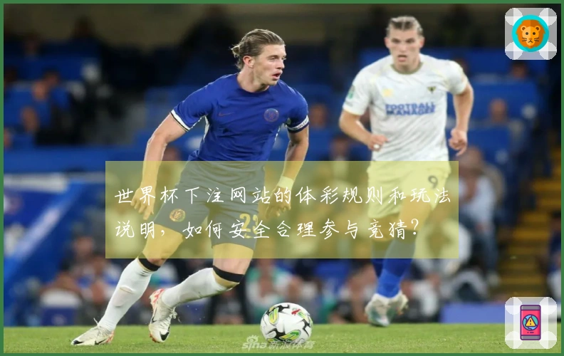 世界杯下注网站的体彩规则和玩法说明，如何安全合理参与竞猜？